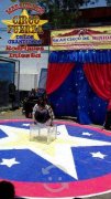 Artistas De Circo Profesionales Para Eventos, $ 1