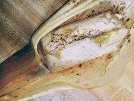 TAMALES PARA TUS PEQUEÑOS EVENTOS, $ 27